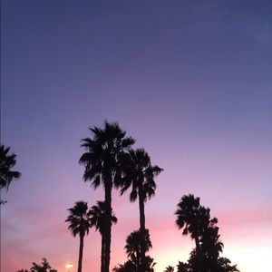 Meet your Posher, Miriam